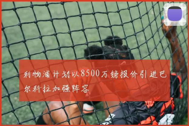 利物浦计划以8500万镑报价引进巴尔科拉加强阵容